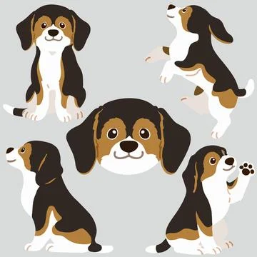Flat colored adorable dark tri colored Beagle illustrations Stock Illustration