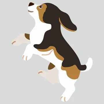 Flat colored adorable dark tri colored Beagle jumping Stock Illustration
