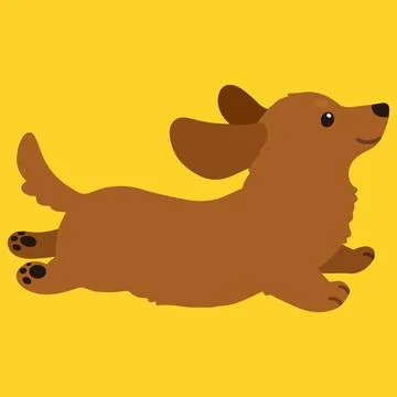 Flat colored adorable red Miniature Dachshund running Stock Illustration