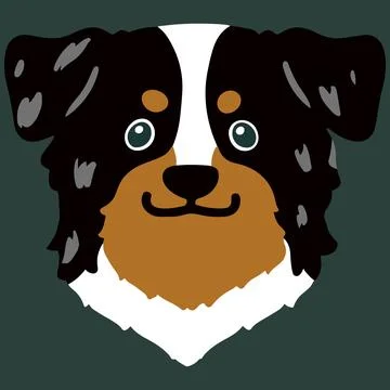 Flat colored Australian Shepherd head in front view Stock Illustration