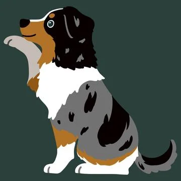 Flat colored Australian Shepherd sitting shaking hand in side view Stock Illustration