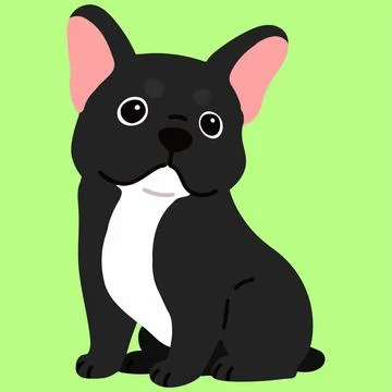 Flat colored black colored French Bulldog sitting front view Stock Illustration