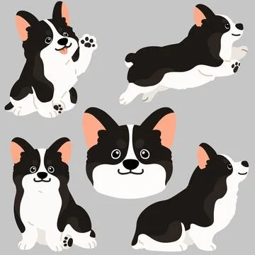 Flat colored black Corgi illustrations set Stock Illustration