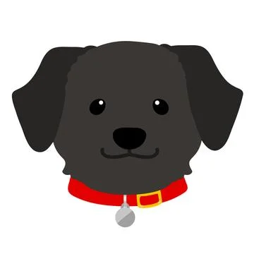 Flat colored black Labrador front face with a red collar illustration Stock Illustration