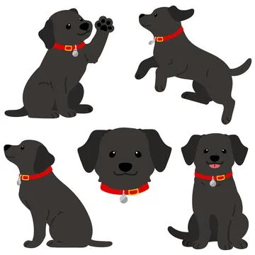 Flat colored black Labrador with a red collar illustrations set Stock Illustration