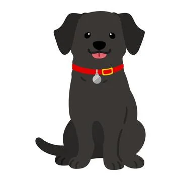 Flat colored black Labrador sitting front view illustration Stock Illustration