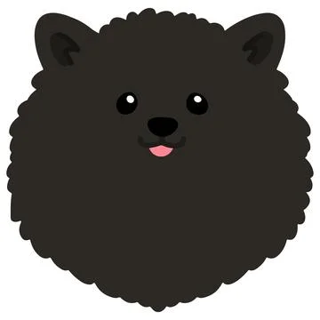 Flat colored black pomeranian front head Stock Illustration