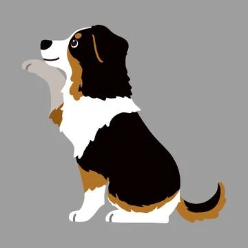 Flat colored Black Tri Australian Shepherd sitting shaking hand in side view Stock Illustration