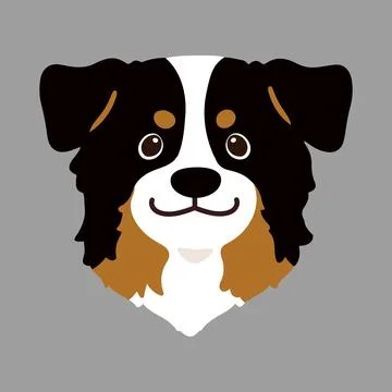Flat colored Black Tri Australian Shepherd head in front view Stock Illustration