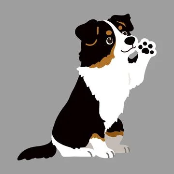 Flat colored Black Tri Australian Shepherd dog sitting waving hand Stock Illustration