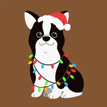 Flat colored Boston Terrier sitting with Christmas lights on Stock Illustration