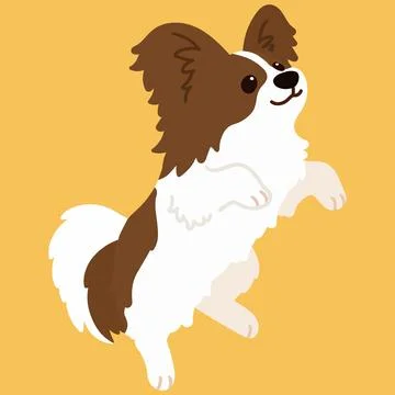 Flat colored brown and white Papillon jumping Stock Illustration