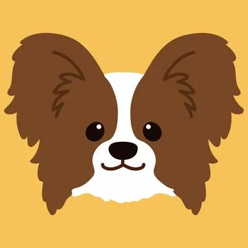 Flat colored brown and white Papillon front head Stock Illustration