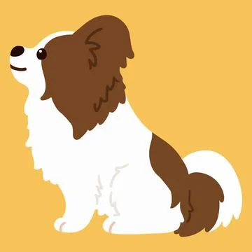 Flat colored brown and white Papillon sitting in side view Stock Illustration