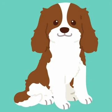 Flat colored Brown Cavalier King Charles Spaniel sitting Stock Illustration