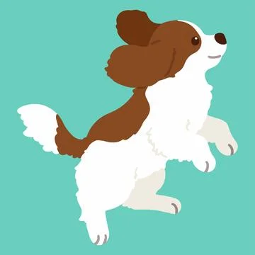 Flat colored Brown Cavalier King Charles Spaniel jumping Stock Illustration