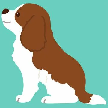 Flat colored Brown Cavalier King Charles Spaniel sitting in side view Stock Illustration