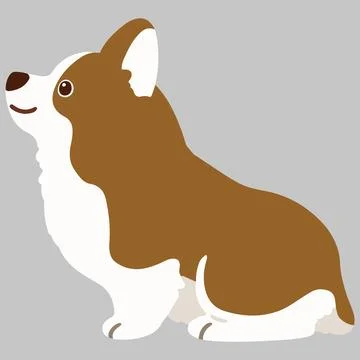 Flat colored brown Corgi sitting in side view Stock Illustration