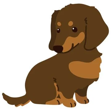Flat colored chocolate and tan Miniature Dachshund sitting Stock Illustration