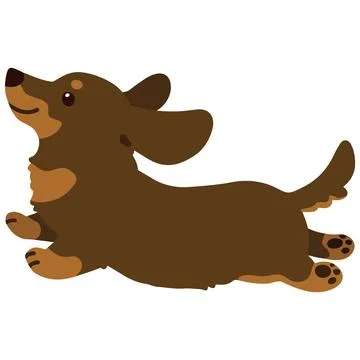 Flat colored chocolate and tan Miniature Dachshund jumping Stock Illustration