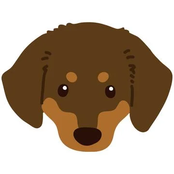 Flat colored chocolate and tan Miniature Dachshund front head Stock Illustration