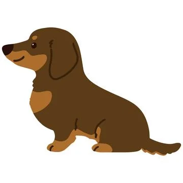Flat colored chocolate and tan Miniature Dachshund sitting side view Stock Illustration