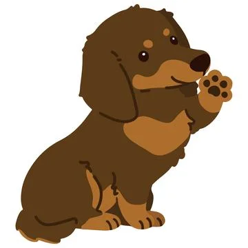 Flat colored chocolate and tan Miniature Dachshund sitting waving hand Stock Illustration