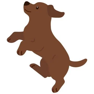 Flat colored chocolate Labrador jumping in side view Stock Illustration