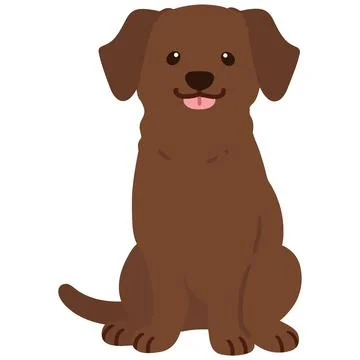Flat colored chocolate Labrador sitting front view Stock Illustration