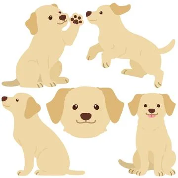 Flat colored cream Labrador illustrations set Stock Illustration