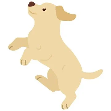 Flat colored cream Labrador jumping in side view Stock Illustration
