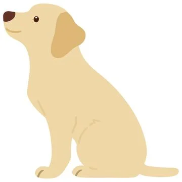 Flat colored cream Labrador sitting in side view Stock Illustration