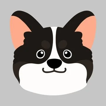 Flat colored cute black colored Corgi front face Stock Illustration