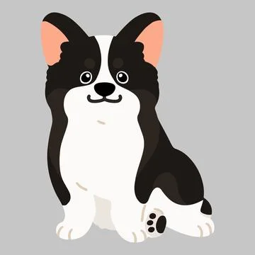 Flat colored cute black colored Corgi sitting in front view Stock Illustration