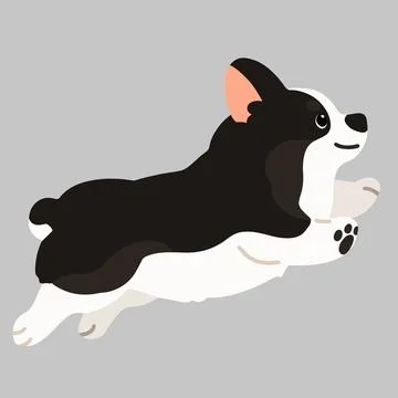 Flat colored cute black colored Corgi jumping in side view Stock Illustration