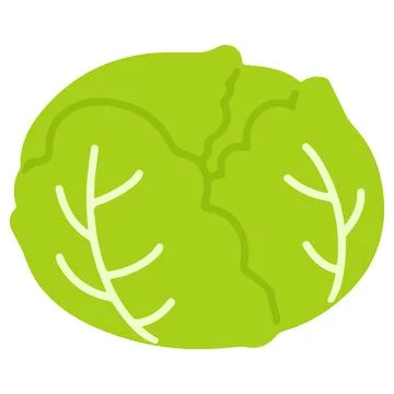 Flat colored green fresh cabbage Stock Illustration