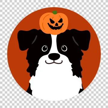 Flat colored Halloween Border Collie in a circle icon Stock Illustration