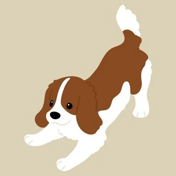 Flat colored illustration of Cavalier King Charles Spaniel being playful Stock Illustration