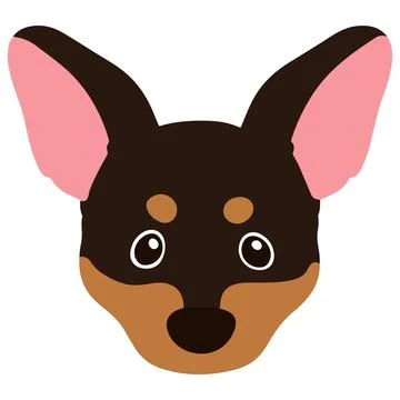 Flat colored Miniature Pinscher front head Stock Illustration