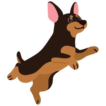 Flat colored Miniature Pinscher jumping Stock Illustration