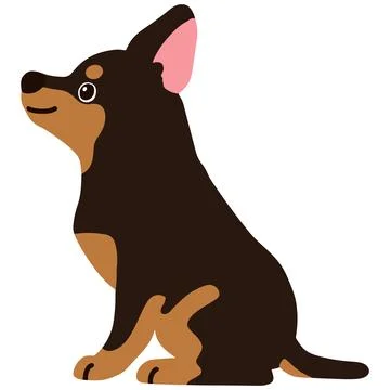 Flat colored Miniature Pinscher sitting side view Stock Illustration
