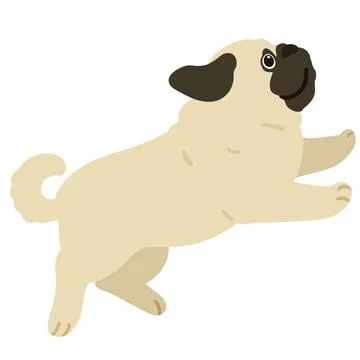 Flat colored Pug puppy jumping and playing Stock Illustration