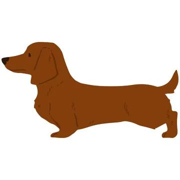 Flat colored red brown Miniature Dachshund in side view Stock Illustration