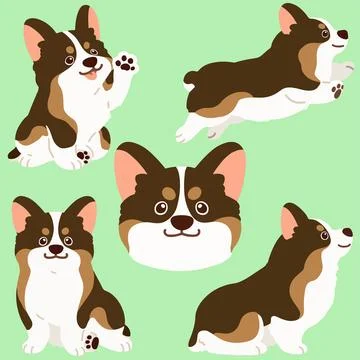 Flat colored sable colored Corgi illustrations set Stock Illustration