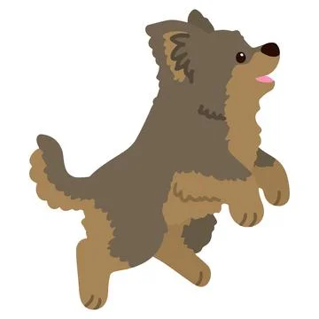 Flat colored simple and adorable Yorkshire Terrier jumping illustration Stock Illustration
