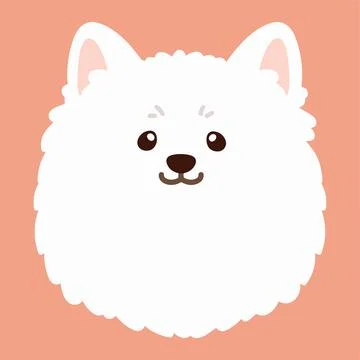 Flat colored simple and adorable Japanese Spitz front head illustration Stock Illustration