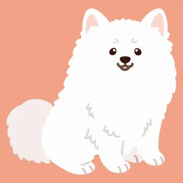 Flat colored simple and adorable Japanese Spitz sitting illustration Stock Illustration