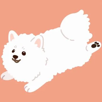 Flat colored simple and adorable Japanese Spitz running illustration Stock Illustration
