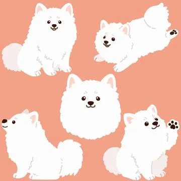 Flat colored simple and adorable Japanese Spitz illustrations set Stock Illustration