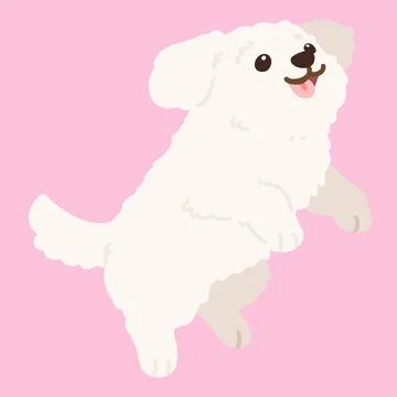Flat colored simple and adorable white Maltese dog jumping illustration Stock Illustration